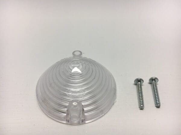 A clear plastic bowl with two screws and one large object.